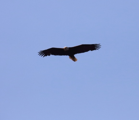 2019 05 08 HTP 90362e